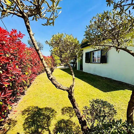 Tatil Evi Casa Cataleia